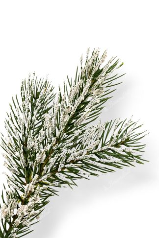 Künstlicher Weihnachtsbaum 3D Tränen-Kiefer mit Kunstschnee, der Zweig ist leicht mit Schnee bedeckt