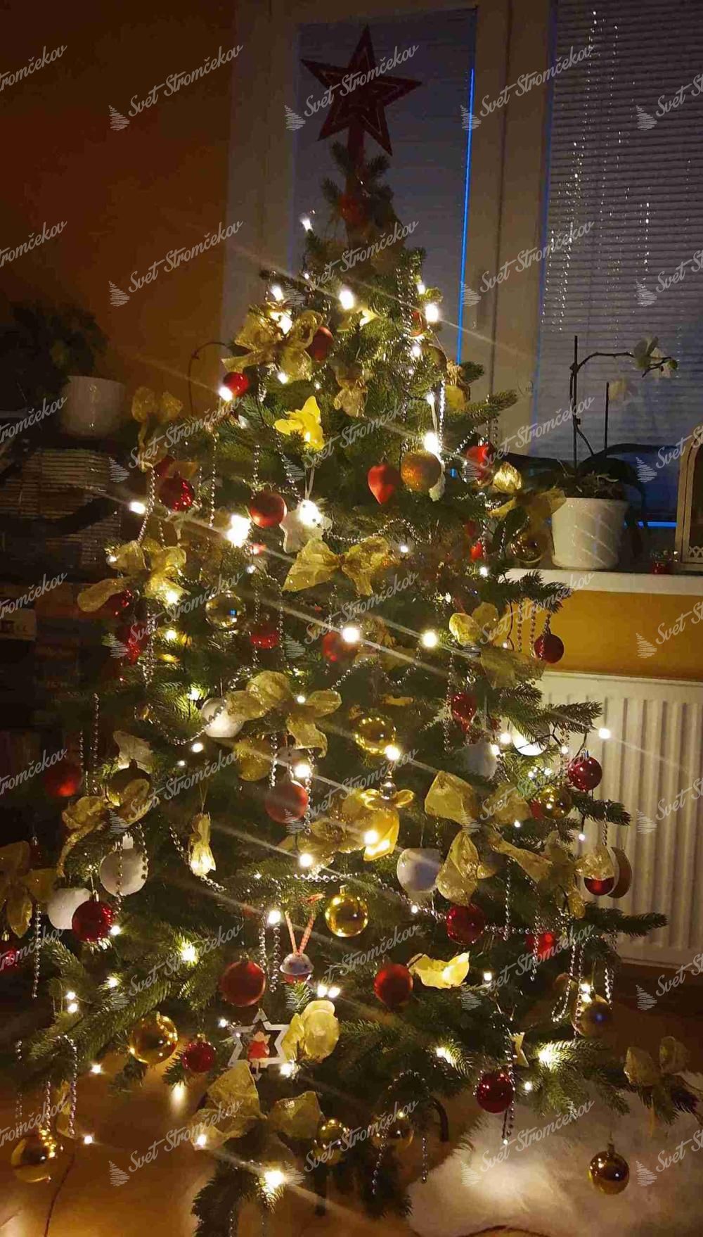 Umelý vianočný stromček 3D Smrek Exkluzívny 150cm, stromček je husto ozdobený červenými, bielymi a zlatými vianočnými ozdobami