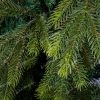 3D ihličie vianočného stromčeka 3D Smrek Škandinávsky