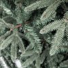 Weihnachtsbaum 3D Weißtanne