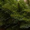 Weihnachtsgirlande 100% 3D Kaukasus Tanne 270cm