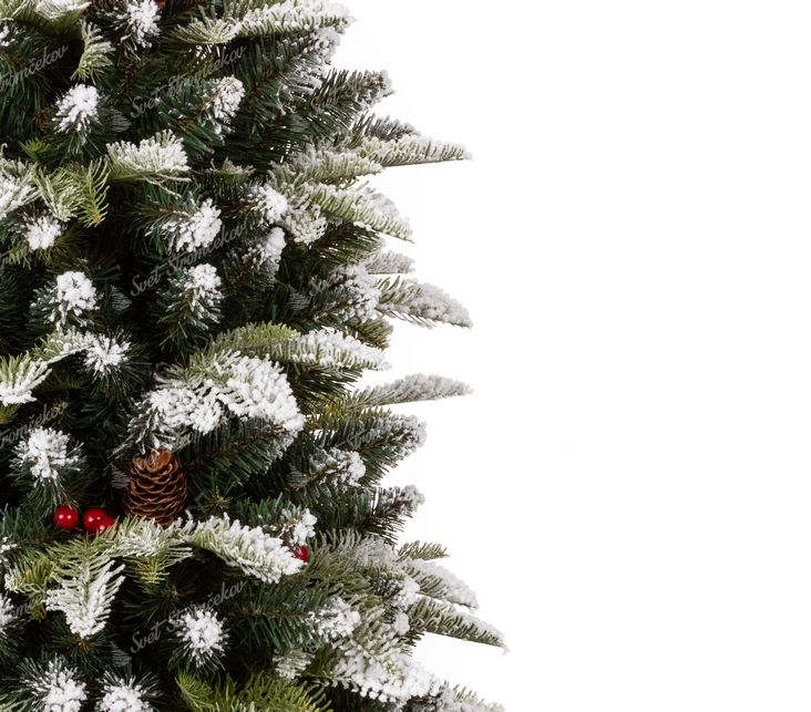 Vianočný stromček v kvetináči z vrecoviny 3D Jedľa Zasnežená s jemne posneženými koncami vetvičiek