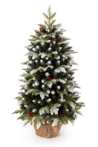 Weihnachtsbaum im Topf 3D-Tanne mit Kunstschnee