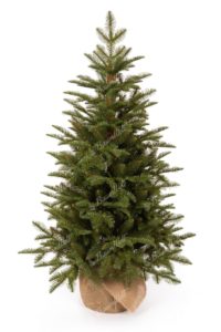 Weihnachtsbaum im Topf 3D-Tanne Natur