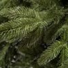Weihnachtsbaum 3D Fichte Kalifornien