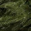 Weihnachtsbaum 3D Fichte Kalifornien