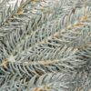 Weihnachtsgirlande 3D Eisfichte