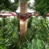 Künstlicher Weihnachtsbaum 3D Finnische Fichte, der Baum hat dicke grüne Nadeln