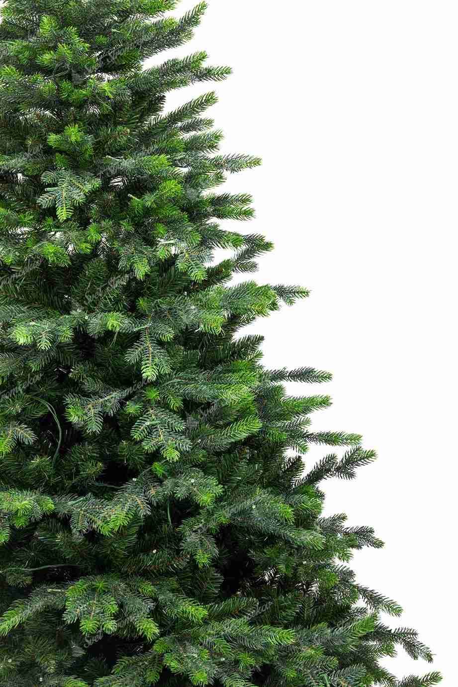 Detail vianočného stromčeka 3D Smrek Taliansky. Vetvičky majú dvojfarebné ihličie.