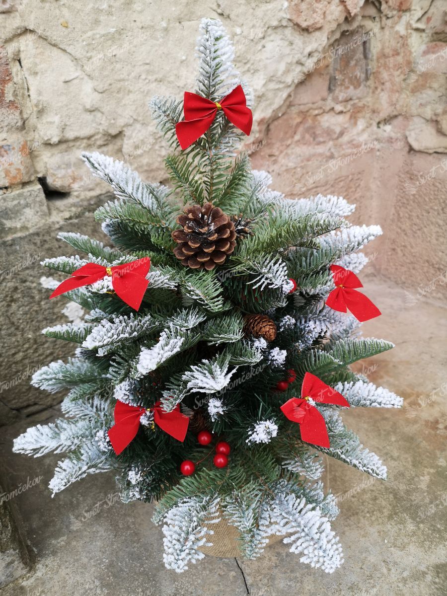 Vianočný stromček v kvetináči 3D Jedľa Zasnežená 60cm ozdobený červenými mašličkami.