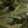 Künstlicher Weihnachtsbaum 3D Irische Fichte 240cm
