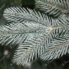 Künstlicher Weihnachtsbaum FULL 3D Edle Fichte 250cm
