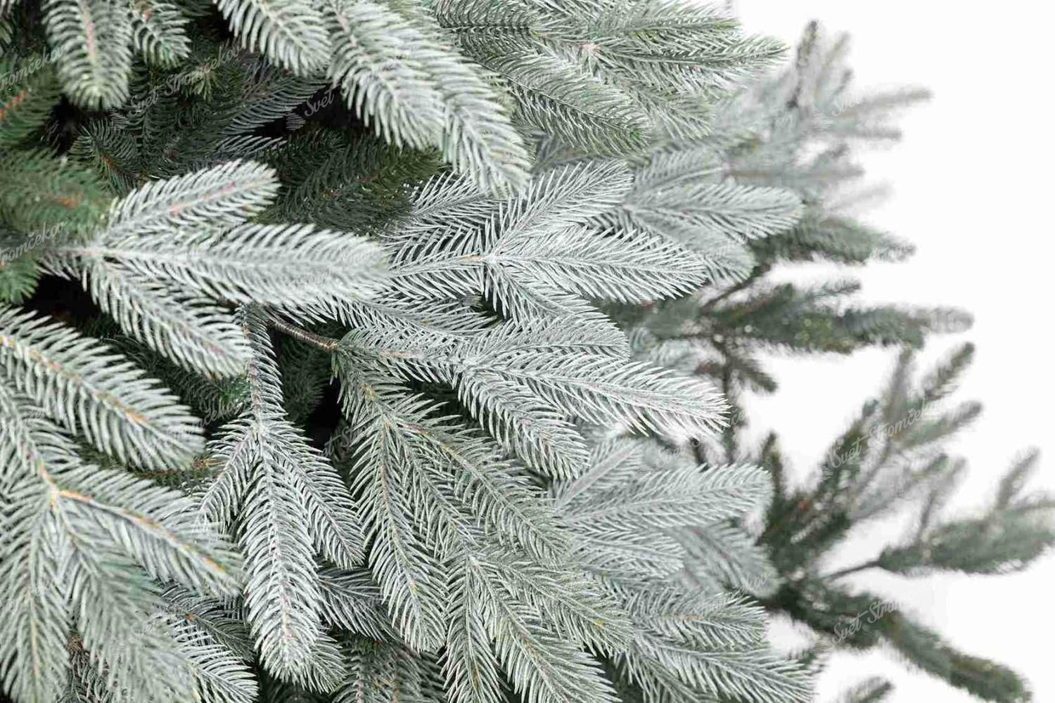Detailna fotka vetvičiek vianočného stromčeka FULL 3D Smrek Vznešený. Má dvojfarebné ihličie a vonkajšie vetvičky sú strieborné.