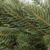 Weihnachtsgirlande 100 % 3D Kanadische Tanne 100cm