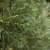 Künstlicher Weihnachtsbaum 3D Tränen-Kiefer 210cm