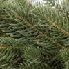 Weihnachtsgirlande 100 % 3D Kanadische Tanne 100cm