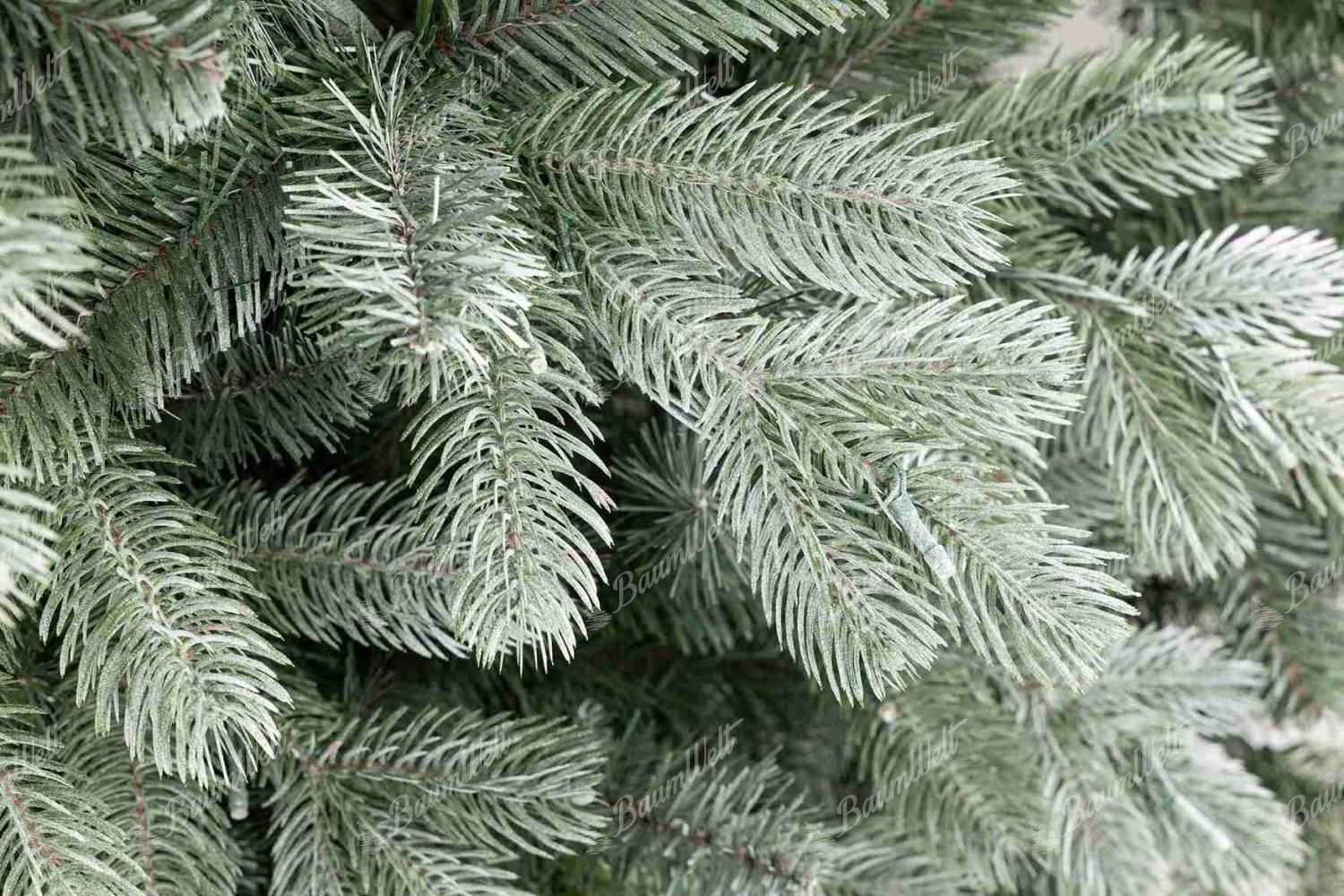 Zweigdetail des Weihnachtsbaums 3D Graukiefer er hat dichte Zweige in grün-silberner Farbe