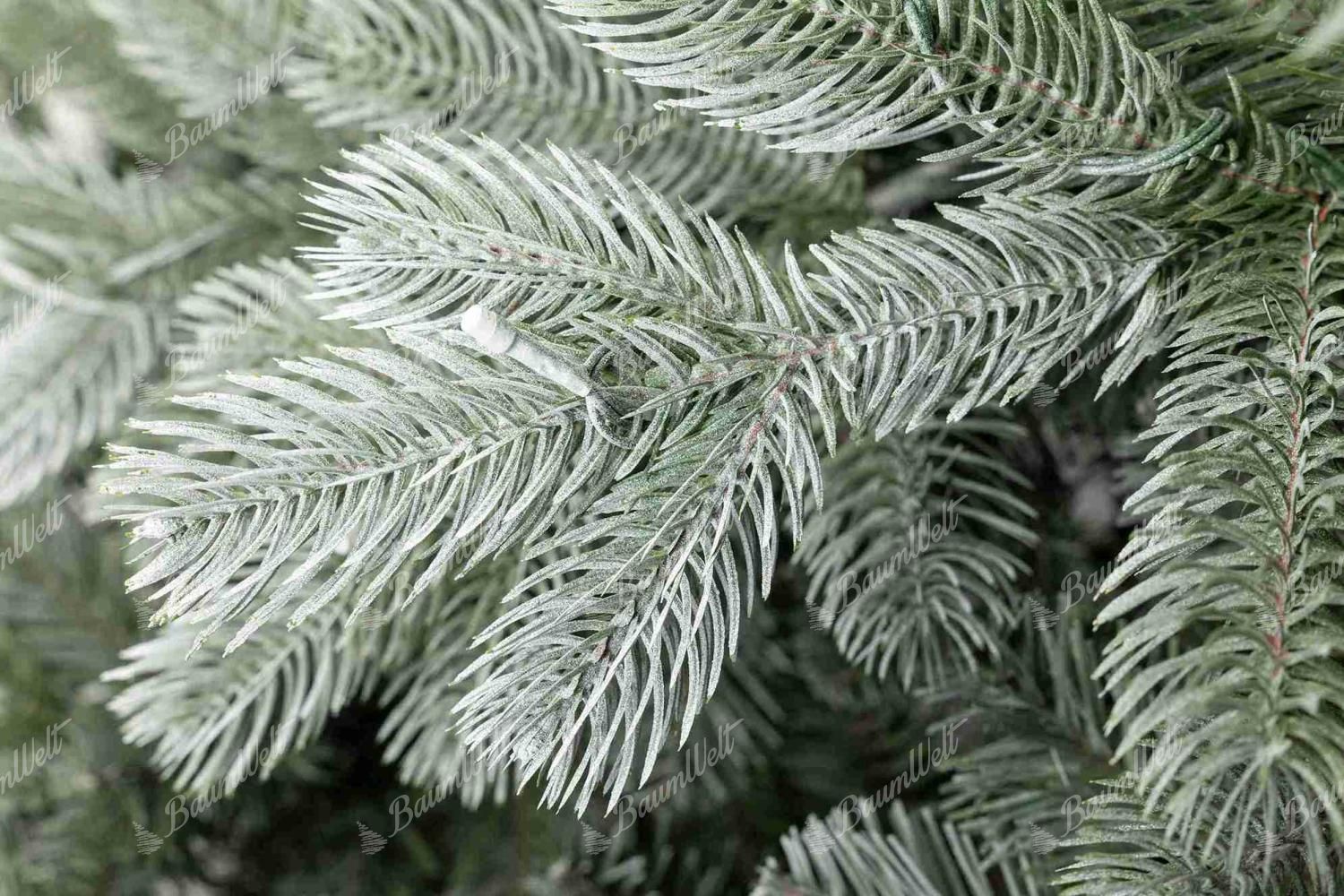 Zweigdetail des Weihnachtsbaums 3D Graukiefer, Er verfügt über dichte Zweige in grün-silberner Farbgebung