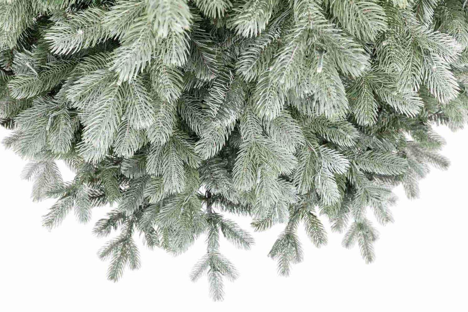 Detailansicht des Weihnachtsbaums 3D Graukiefer Er hat dichtes Nadelwerk in Grün mit silbrigem Schimmer