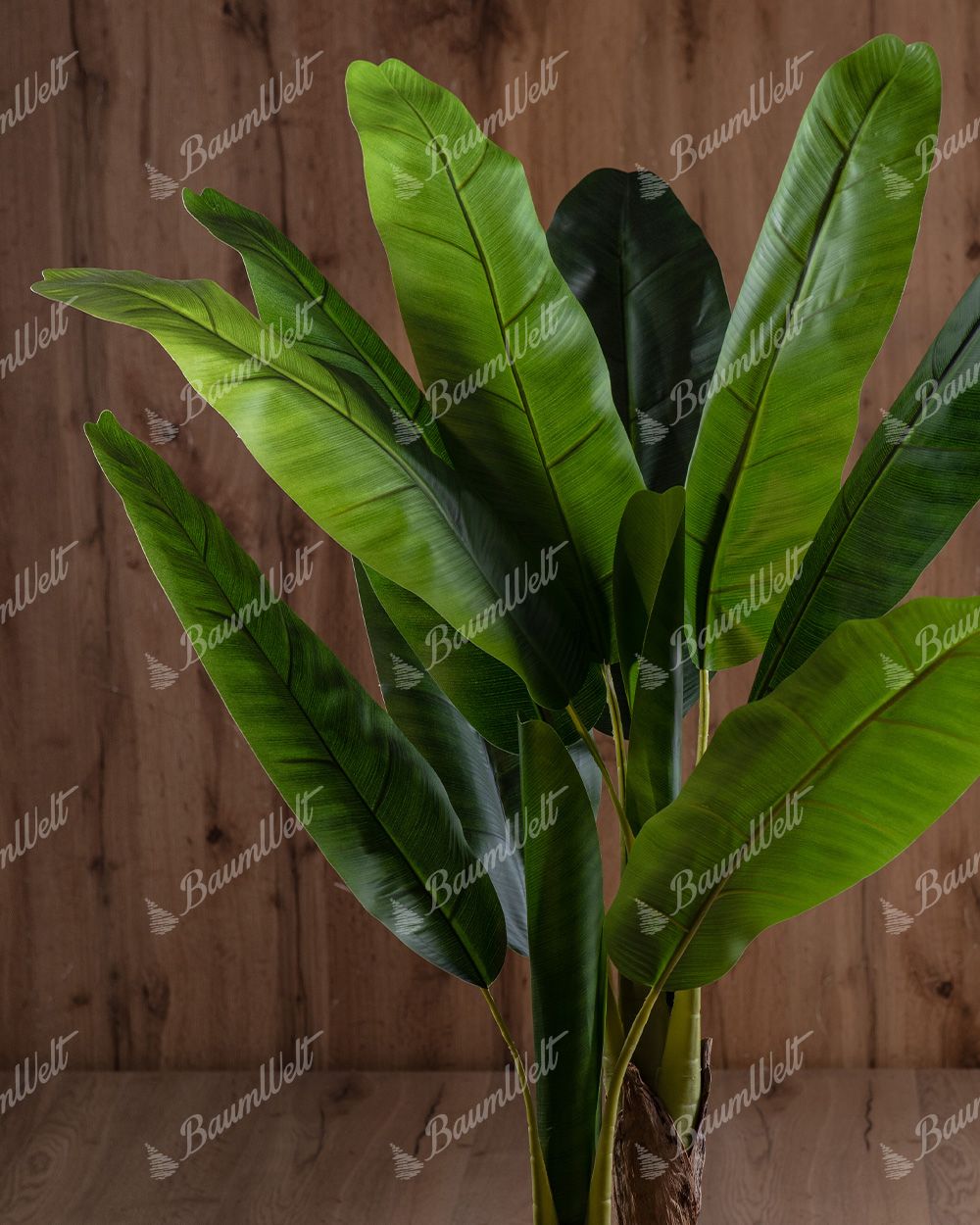 Detailaufnahme einer künstlichen Bananenpflanz, Sie hat große, breite grüne Blätte
