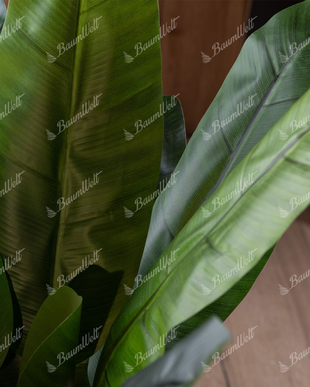 Detailaufnahme einer künstlichen Bananenpflanz, hat breite grüne Blätter