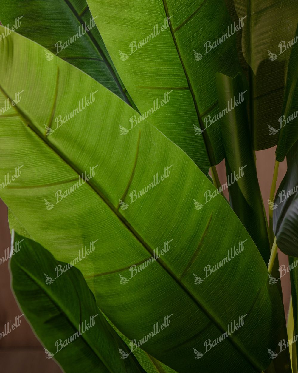 Detailaufnahme eines Blattes einer künstlichen Bananenpflanze, Das große und breite Blatt hat eine markante Textu