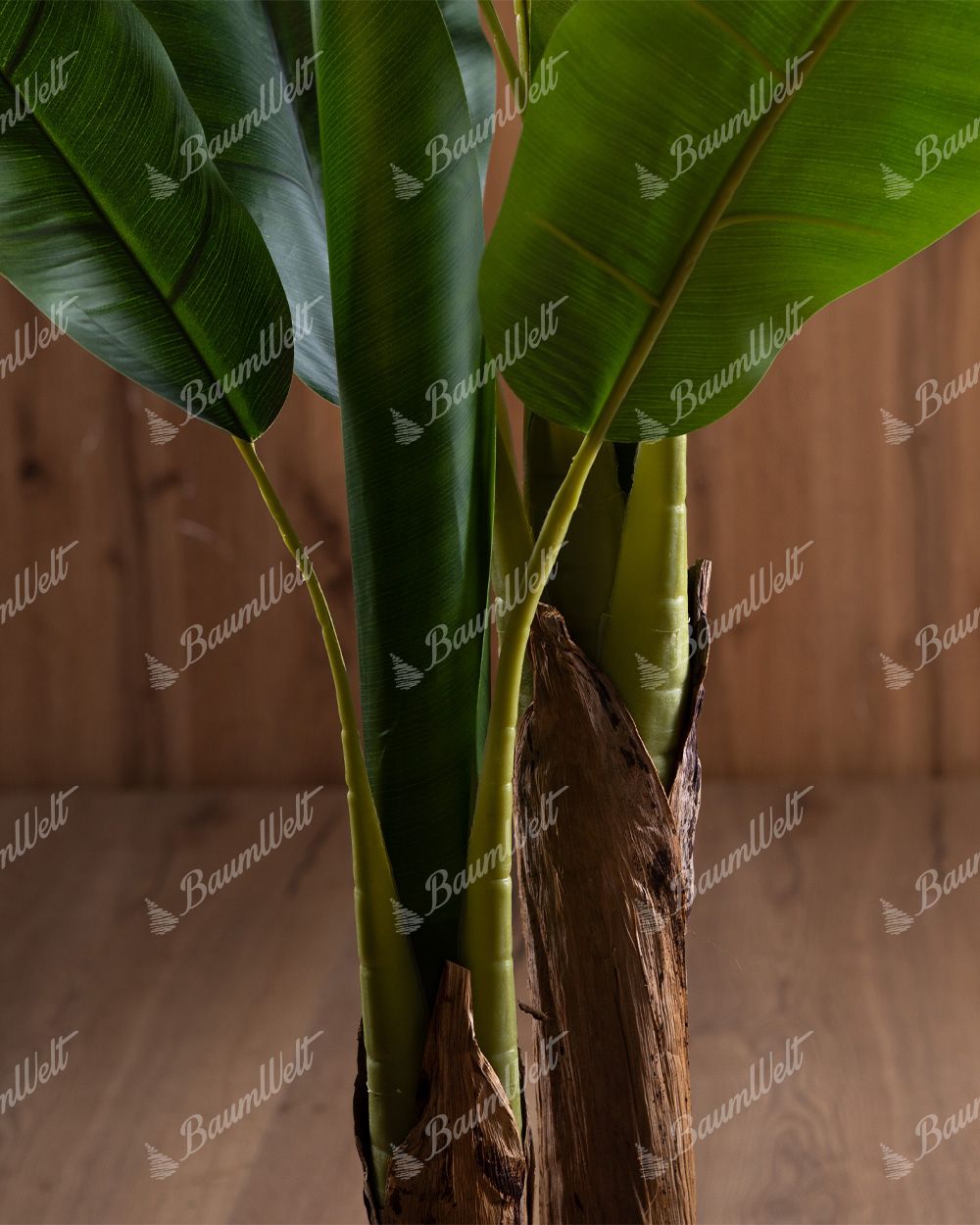 Detailaufnahme einer künstlichen Bananenpflanz, Brauner Stamm, aus dem die Blätter wachsen