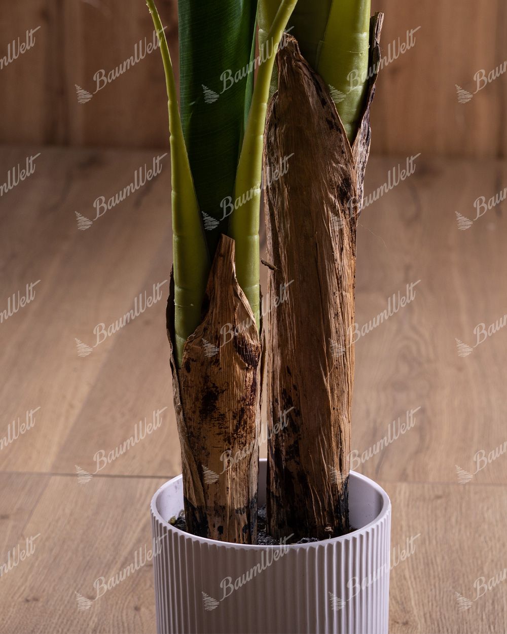 Detailaufnahme einer künstlichen Bananenpflanz, Sie hat einen natürlichen braunen Stamm, aus dem die Blätter wachsen, sowie einen weißen Blumentopf