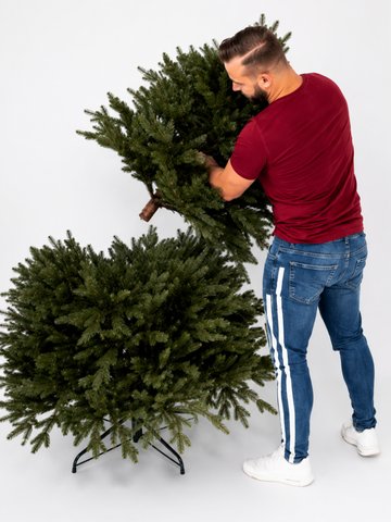 Wie soll der Weihnachtsbaum richtig aufgebaut werden?